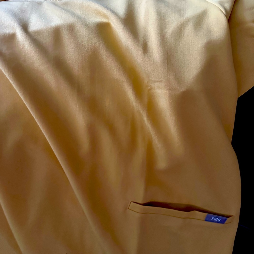 Figs 2xl